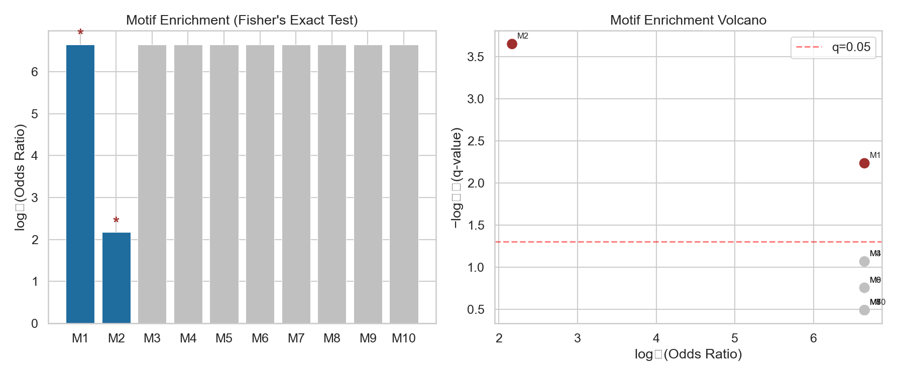 Motif Enrichment