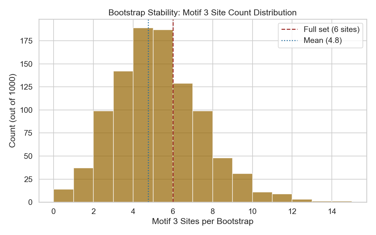 Bootstrap Distribution