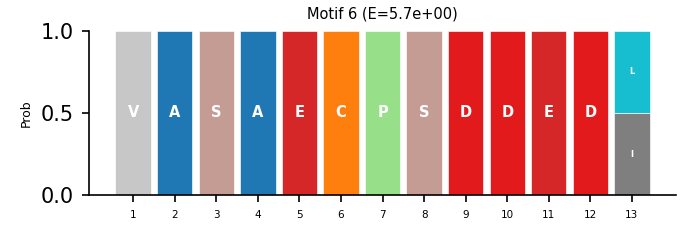 Motif 6